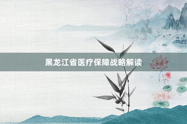 黑龙江省医疗保障战略解读