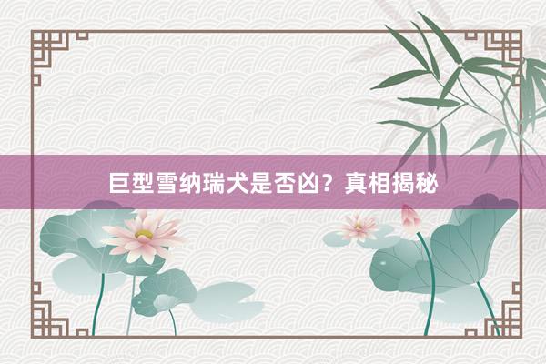 巨型雪纳瑞犬是否凶？真相揭秘